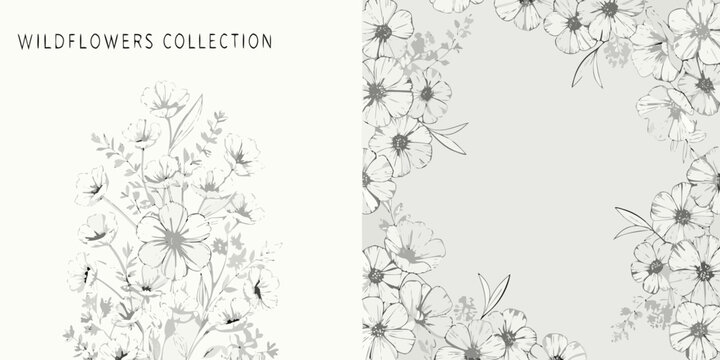 Delicate wildflower line art collection on a light gray background