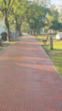 Fondo de video desenfocado de vereda en parque p&uacute;blico con &aacute;rboles y luz solar