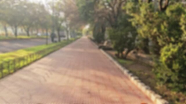 Fondo de video desenfocado de vereda en parque p&uacute;blico con &aacute;rboles y luz solar