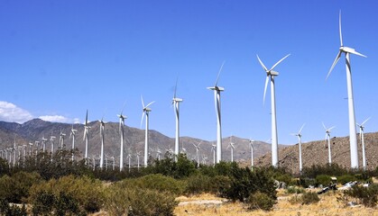 Panorama of wind turbines lined up in the desert at the San Gorgonio Wind Farm, Coachella Valley, California, United States of America © AlexanderRuszczynski
