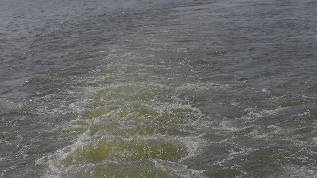 Summer Boating Activity on High Rock Lake