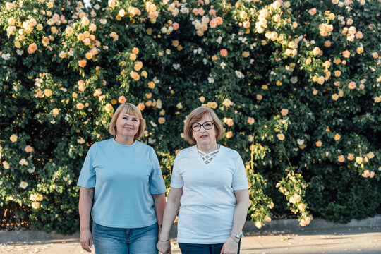 Happy Senior Female Friends Holding Hands During Evening Walk Near Blooming Rose Garden