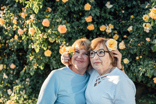 Happy Senior Female Friends Laughing With Roses Near Blooming Garden Wall At Sunset