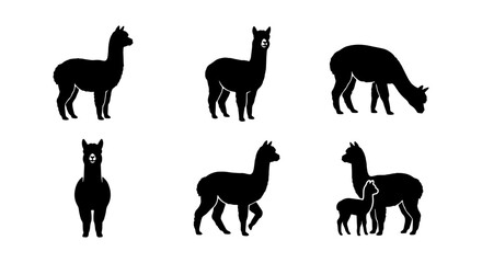 Alpaca Silhouette Icons Set, Cute South American Camelid Vector Graphics, Farm Animal Collection for Design © Kamruz