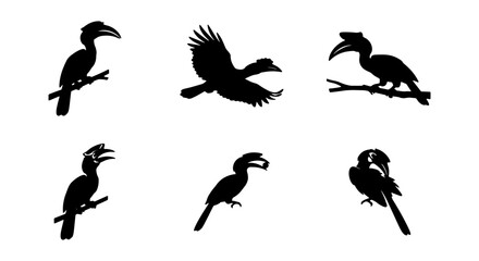 Silhouette Hornbill Bird Vector Icons Set, Tropical Wildlife Avian Graphics, Nature Elements Collection © Kamruz