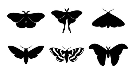 Set of 6 Black Moth Silhouettes, Vector Icons for Nature and Insect Designs, Graphic Elements © Kamruz
