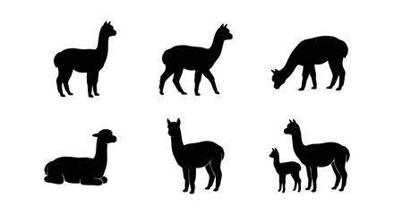 Alpaca Silhouettes Collection, Six Diverse Poses Vector Set, Cute South American Camelid Icons © Nusrat