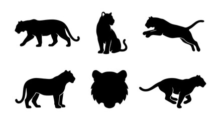 Black Panther Silhouettes Vector Set: Wild Cat Poses, Big Cat Icons, Elegant Feline Graphics for Wildlife Design © Nusrat