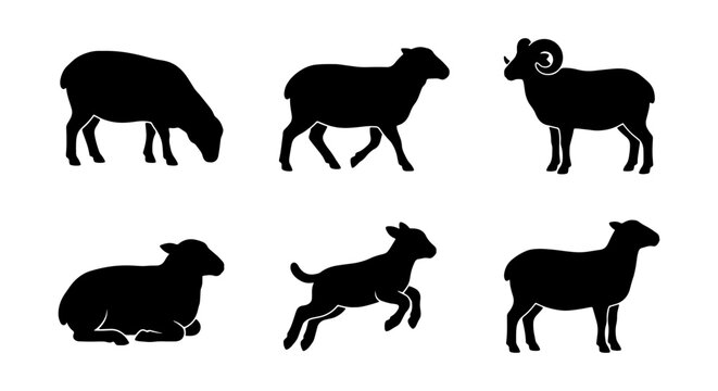 Black Sheep Silhouettes Collection: Ram, Ewe, Lamb Icons for Farm, Livestock, and Nature Graphics