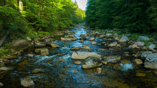 Beautiful Sunrise In Sunny Spring Forest with River