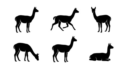 Llama Silhouettes Collection: Diverse Poses of South American Camelids, Vector Icons for Wildlife and Farm Themes © Rahul