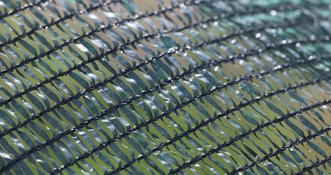 Agricultural green shade net protecting crops