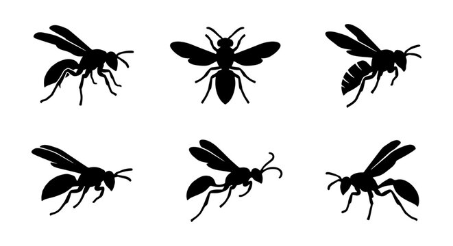 Wasp Icons Set, Flying Insects Silhouette Collection, Vector Graphics for Nature and Wildlife Designs
