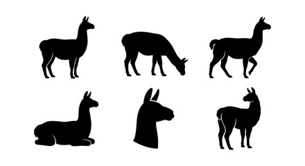 Llama Silhouettes Collection, Six Vector Icons, Animal Poses, Farm Livestock Graphics, South American Camelid Art © Sazzad