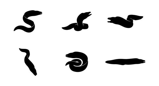 Set of Six Black Eel Silhouettes, Marine Life Vector Icons, Aquatic Animal Graphics, Underwater Creature Illustrations