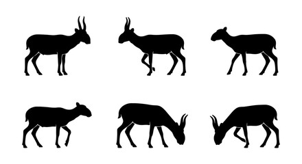 Antelope Silhouettes Collection: Six Diverse Poses of African Wildlife Vector Icons for Nature and Safari Designs © Sumaiya