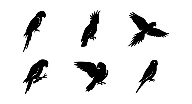 Parrot Silhouettes Collection, Tropical Bird Vector Icons, Exotic Avian Graphics, Minimalist Wildlife Set