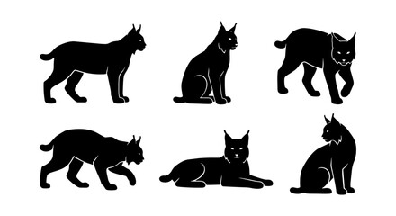 Lynx Silhouettes Collection, Wild Cat Vector Icons, Feline Animal Poses, Black Graphic Elements for Design © Imran