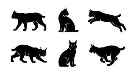 Lynx Silhouette Collection, Wild Cat Vector Icons, Feline Poses, Black Graphic Elements for Wildlife Design © Shamima