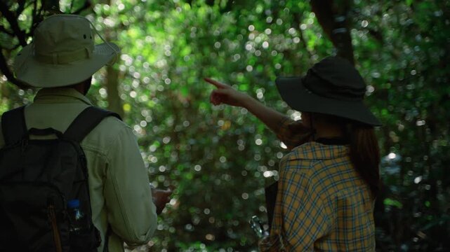 Rear view of two hikers walking along a forest path surrounded by dense green vegetation. Adventure travel, exploration, ecotourism, teamwork, and outdoor recreation concept.
