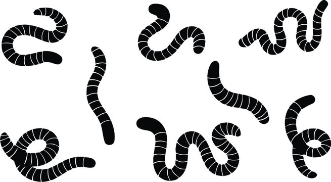 Black worms collection vector illustration for biology and zoology designs