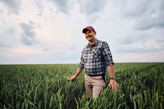 Successful agricultural producer in wheat field looking at camera.