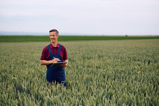 Happy farm owner examining wheat growth while using digital tablet in field.