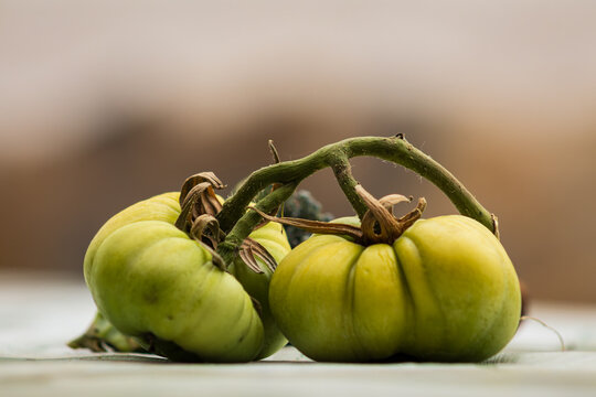 tomate