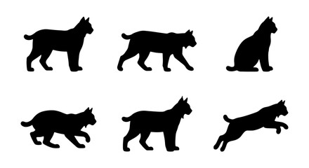 Lynx Silhouette Set, Wild Cat Poses Vector Collection, Feline Animal Icons for Nature Graphics © Mahfuz