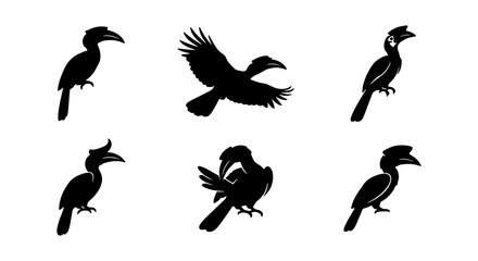 Hornbill Silhouettes Collection: Exotic Birds, Tropical Wildlife, Avian Icons, Vector Graphics Set © Abdul