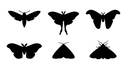 Six Black Moth Silhouettes, Insect Vector Icons, Nocturnal Butterfly Graphics, Winged Creature Collection, Entomology Design Elements © Abdul