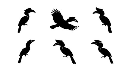 Silhouette Hornbill Bird Vector Set, Tropical Wildlife Graphics, Exotic Avian Icon Collection, Black and White Ornithology Illustrations © Nishat