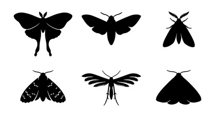 Six Black Moth Silhouettes, Insect Vector Icons, Nocturnal Butterfly Graphics, Winged Creature Art, Entomology Collection © Nishat