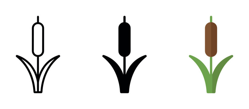 Set of cattail plant icons in outline, solid black, and color styles