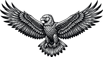 Obraz premium Black and white eagle with wings spread