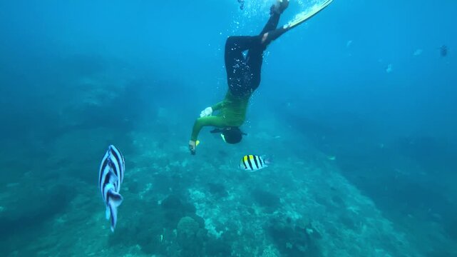 Male freediver descending toward vibrant reef, streamlined fins cutting clear bali water, controlled breath and focused kick, silhouette passing schools of striped fish, serene, Amed,Bali,Indonesia