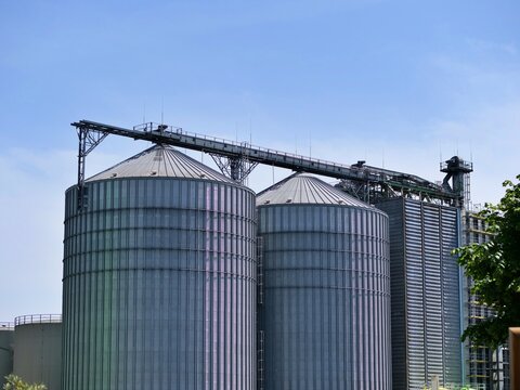  A low-angle architectural 
shot of massive, modern industrial 
storage silos made of corrugated 
galvanized steel panels. A long metallic 
conveyor belt bridge and piping 
infrastructure run along th