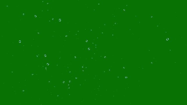 Abstract glossy soap bubble overlay animation, transparent liquid bubbles floating gently upward, rainbow glare highlights, isolated green background, seamless 4k loop