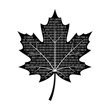Black maple leaf silhouette filled with white binary code digits on a white background
