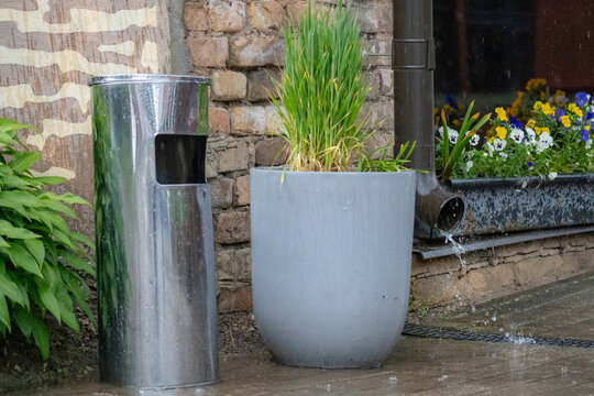 Rainwater Pouring from Downspout onto Wet Sidewalk Beside Planters and Trash Bin