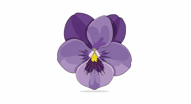 Close-up illustration of a purple pansy flower with delicate petals and a bright yellow center.