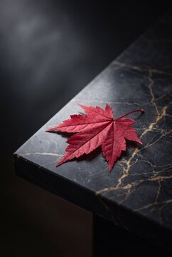 Vibrant red maple leaf resting on a dark marble table with elegant gold veins under moody, dramatic lighting