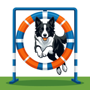 Black dog jumping through agility hoop