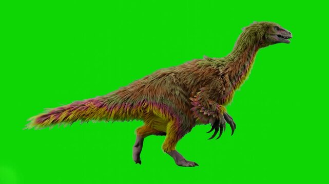 A unique 3D animated feathered dinosaur character or ancient theropod moving its body and tail in a rhythmic dance against a solid chroma key green screen.