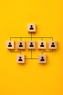 Business organization hierarchy concept showing connected employee profiles in a structured corporate management chart on a bright yellow background