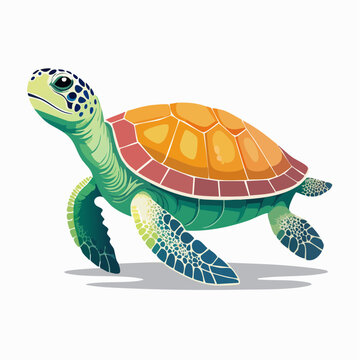 Illustration of a Sea Turtle
