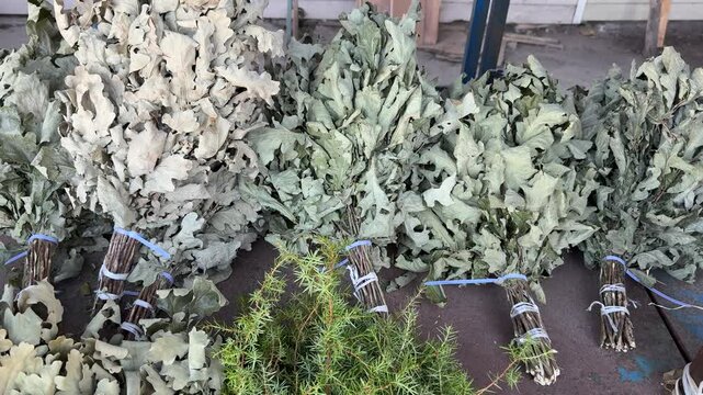 Oak bath brooms on market stall, dry young oak branches tied into large bundles, vendor hand arranging bundles on cardboard