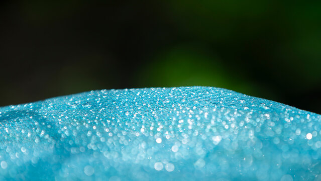 Water drops on blue background. Close up of water droplets.