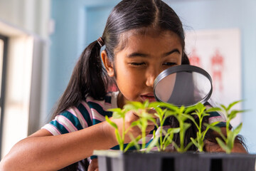 Indian schoolgirl inspecting seedlings in black tray using lens at school in striped tee © wavebreak3