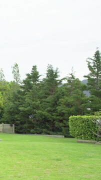 Vertical video: Panning camera sweeping right across backyard, revealing gray house, pool and dog